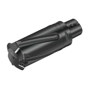 Freze de filetat cu plăcuțe amovibile - T2713-60-C5-4-14 - imagine 3