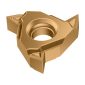 Plăcuțe de strunjire filete interioare – profil parțial 60° TS16-IR-G60-F5 WMP32G-TS16-IR-G60-F5 WMP32G-4063466385124