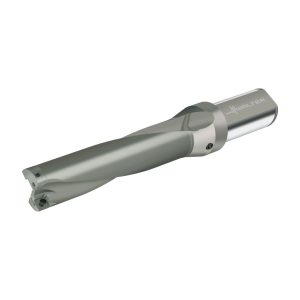 Burghie cu plăcuțe amovibile - D4120.04-42.85F38-P47 - imagine 2