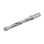 Burghie cu plăcuțe amovibile D4140.07-17.00F19-C-D4140.07-17.00F19-C-0927409766