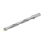 Burghie cu plăcuțe amovibile D4140.10-22.00F26-F-D4140.10-22.00F26-F-0665889766